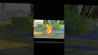 Is that shiny alpha raichu or is that the lighting?? that is shiny ⚡️ get to see both of it’s mega ✨