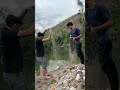 Jaring ikan menggunakan gabus //hasil nya super-super semua //jaring ikan di sungai