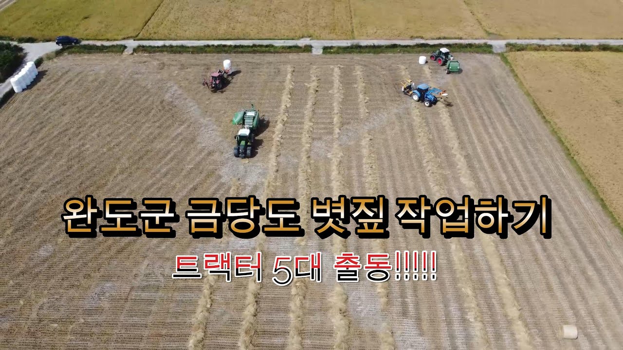 금당도 황금볏짚 트랙터 베일러 작업현장 한번보실래요?