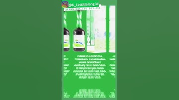 Mengungkap Fungsi Luar Biasa K-Liquid Chlorophyll dari K-Link & Cara Mengkonsumsinya | K-Link Malang