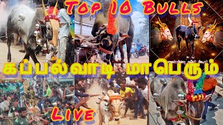 Top 10 Prize Bull Kappalvadi Eruthukattu - 2022 கபபலவட மபரம எரத வடம தரவழ 