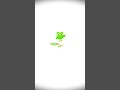 Duolingo Logo Animation 🦉 | Motion Design