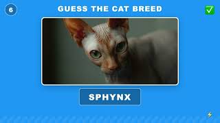 🔥 Guess The Cat Breed! 🌿 Can You Get ALL 15 Right