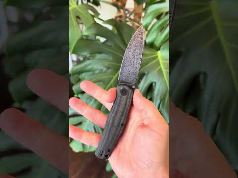 CIVIVI Sokoke Ray Laconico Design WE Knife Co OEM Canvas Micarta Budget 