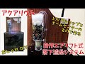 【アクアリウム】素人がオシャレな瓶でエアリフト式落下濾過システムを作ってみた【DIY】