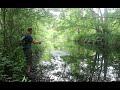 Exploring The Forgotten Ponds (Lure Fishing)