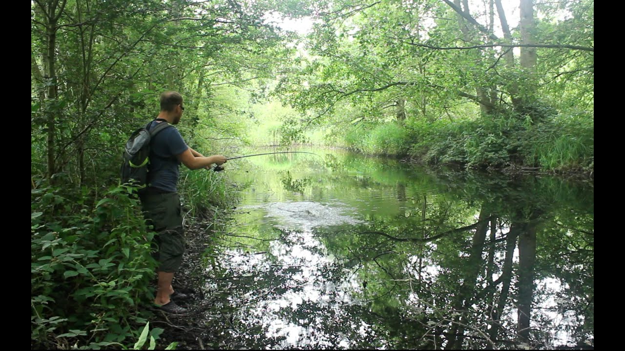 Exploring The Ponds (Lure Fishing) YouTube