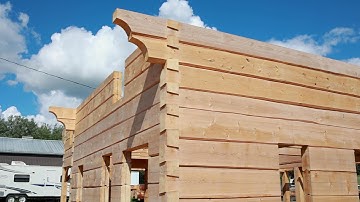 Live Edge Full Scribe Dovetail Building