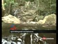 plants entering :Kerala biodivesity threat