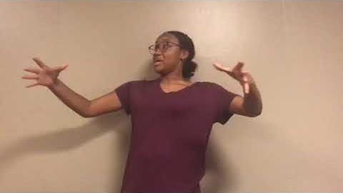 Timber Expressive Assignment