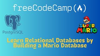 Learn Relational Databases by Building a Mario DB | DBMS