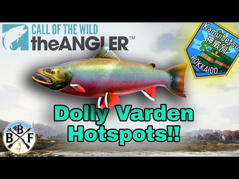Beginner's Guide: Dolly Varden Trout - Best Lure & Hook Size | Call of the Wild: theAngler
