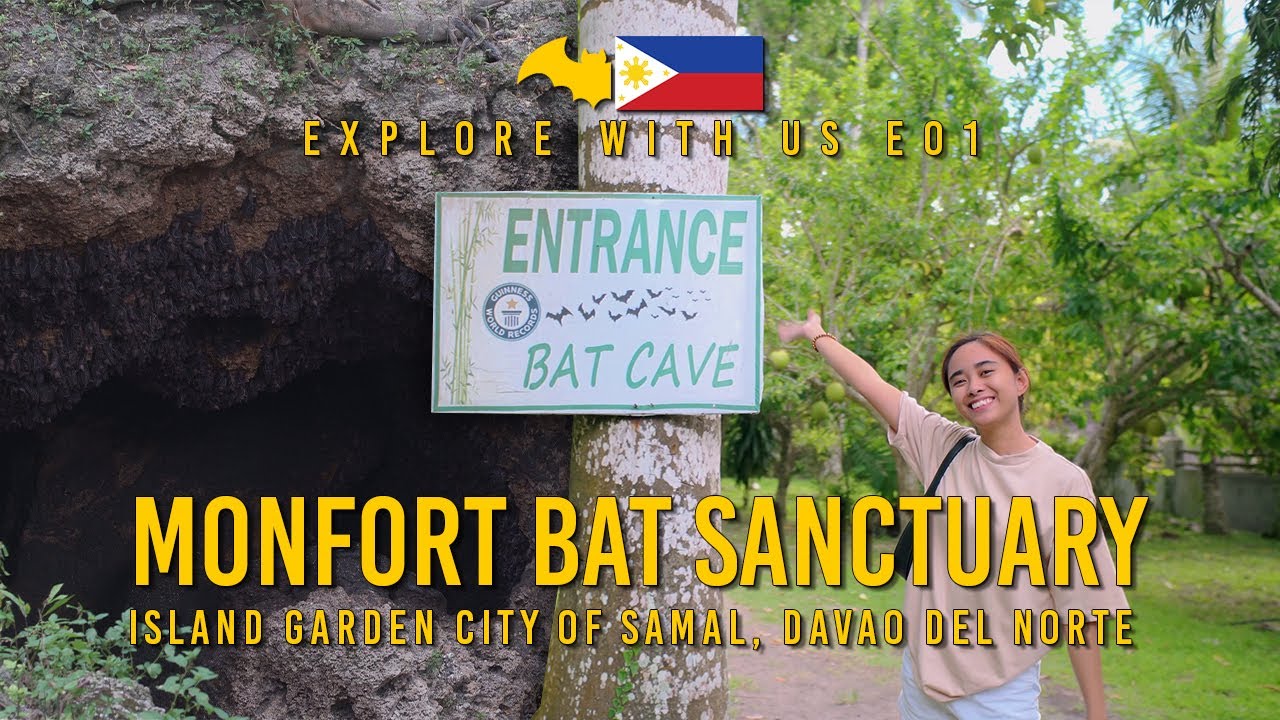 Monfort Bat Sanctuary Davao Del Norte Philippines Explore with us