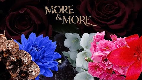 [AI COVER] MOMOLAND - More & More (TWICE)