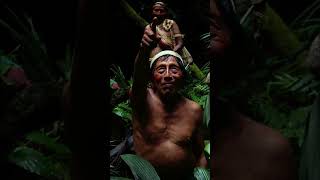 The Spider Hunting Techniques Hidden in the Amazon #Documentary #Wildlife