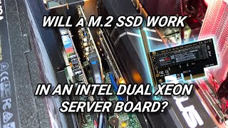 Will A M.2 SSD WORK IN AN INTEL DUAL XEON SERVER BOARD
