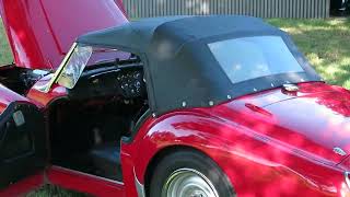 1954 Triumph TR2