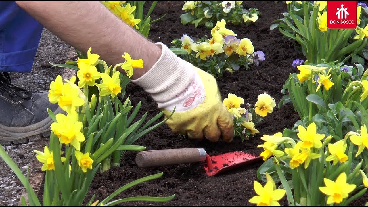 Don Bosco auf der Landesgartenschau