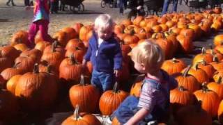 Jack in the Pumpkin Patch