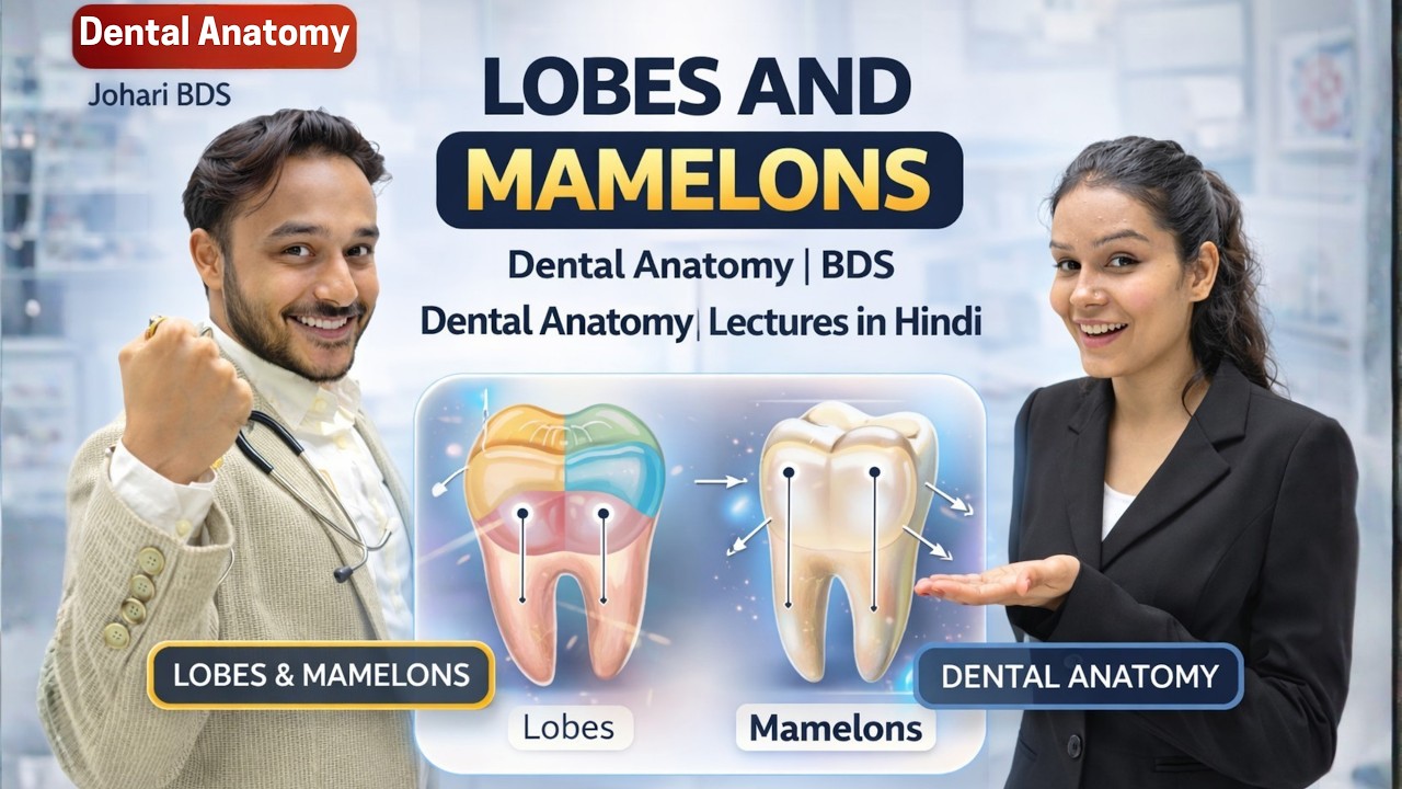 Lobes and Mamelons Dental Anatomy | BDS Dental Anatomy Lectures in ...