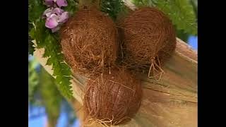 Playhouse Disney Ooh And Aah Coconut Quest & Circle Finding Bumpers Mickey Mouse Clubhouse 2007