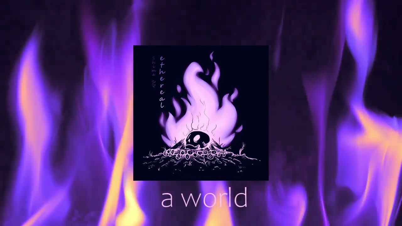 Shima Nori - a world