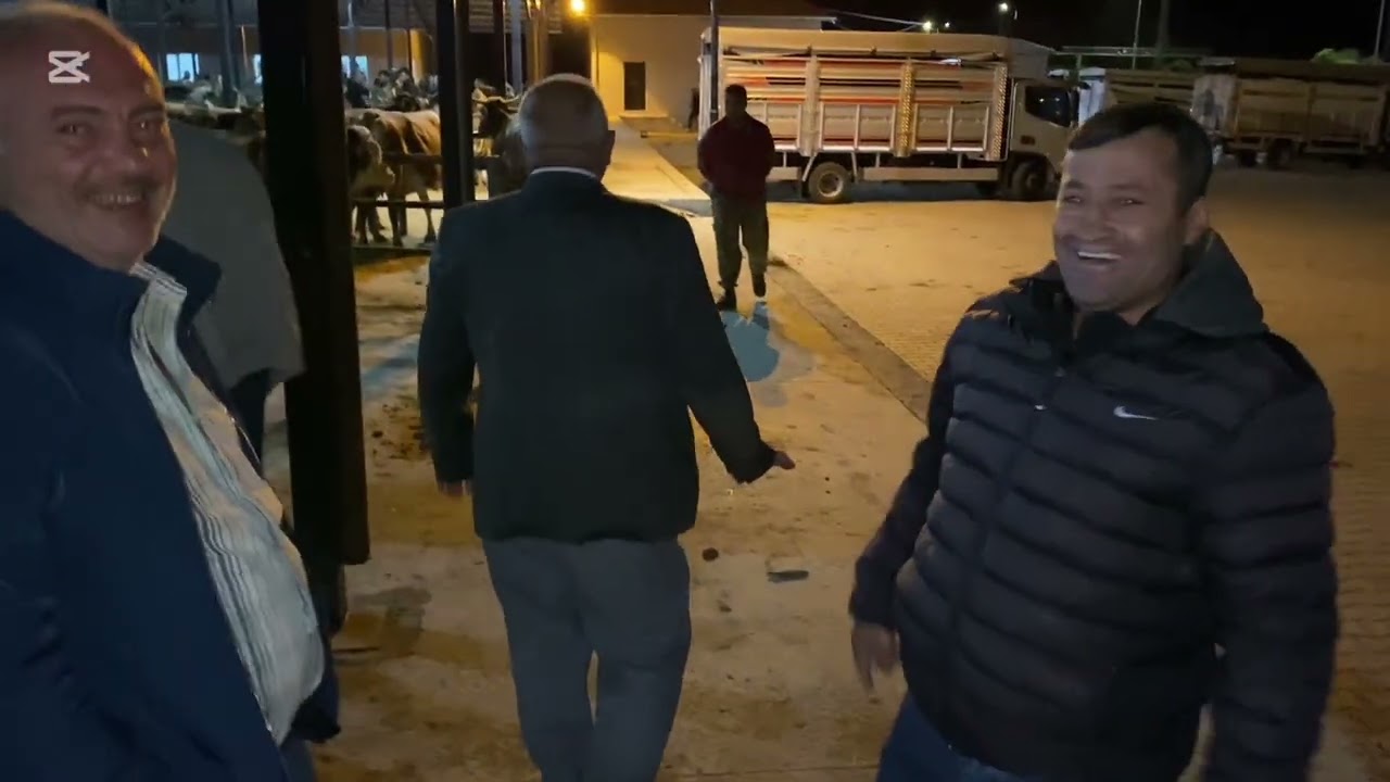 KAYSERİ DEVELİ BELEDİYESİ CANLI HAYVAN PAZARI .!!! Musa Emmi Pazarın ilk ticareti 16 EYLÜL 