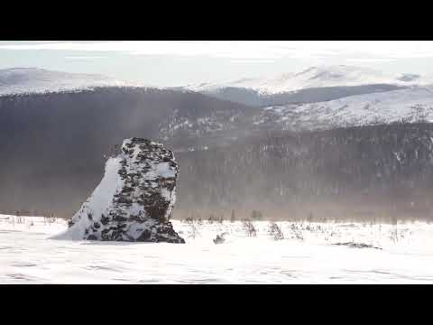 Трагедия на перевале Дятлова 64 версии гибели туристов в 1959 году Главы 1 - 40 из 120