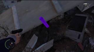 GTA IV :: Purple Dildo Easter Egg