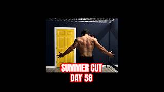 Summer Cut - Day 58 #gym #physique #shredded #summer