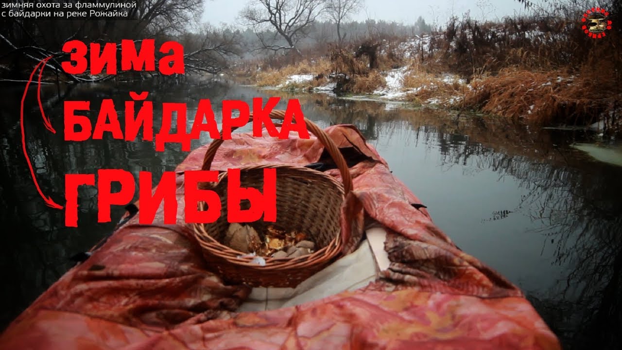 Зимние приключение в поисках зимних грибов на байдарке. Зимние опята (фламмулины)