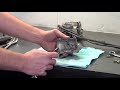 How to clean Honda CRF Carbs - FCR Flatslide - Parts and tools in description