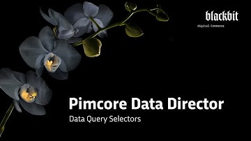 Pimcore Data Director: Data Query Selectors