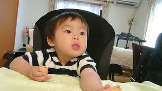 🍒Bisco for the first time in my life 👶 ♥ Cream is delicious 👶✨生まれてはじめてのビスコ👶♥クリームが美味しい👶✨ by 【Cute Japanese Baby Vlog(*'▽')】可愛い日本の赤ちゃんのVlog 3,625 views 5 days ago 8 minutes, 30 seconds