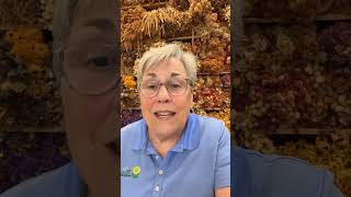 Ask A Flower Farmer: LIVE Q&A with Lisa of The Gardener’s Workshop! #askaflowerfarmer