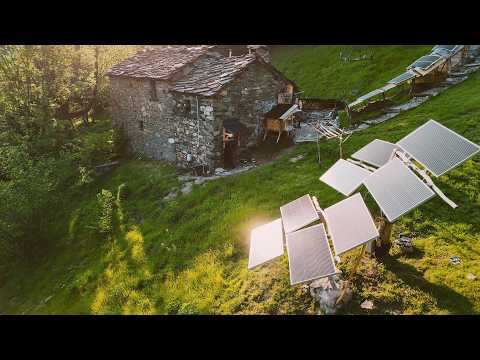 Off Grid Cabin, Installing My Off Grid Solar System, Log Fence  | EP 127