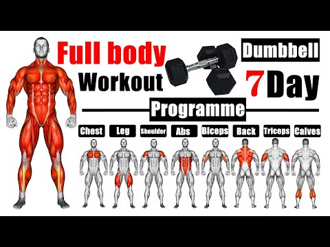 full body dumbbell workout |哑铃全身锻炼