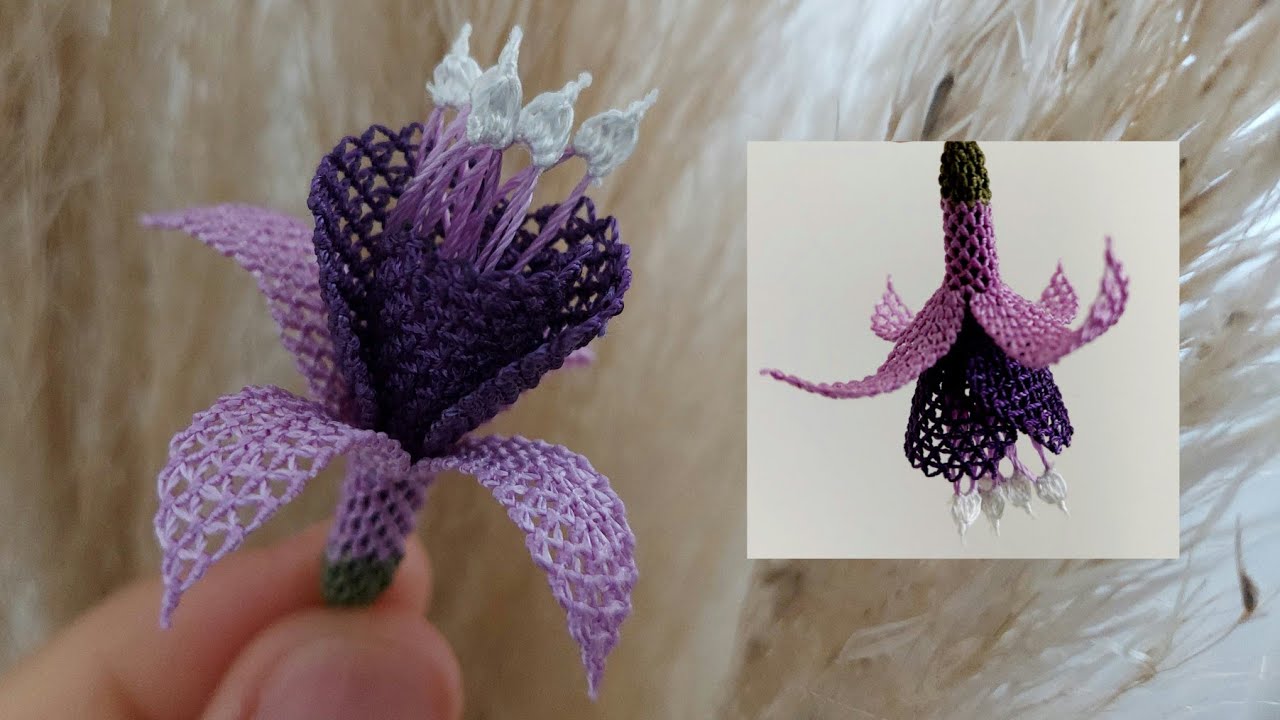 İĞNE OYASI KÜPE (KÜPELİ) ÇİÇEĞİ