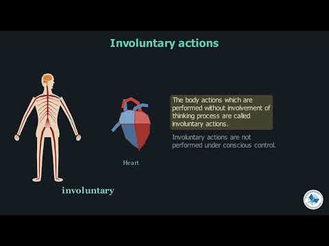 Class 8 G.SCIENCE Chapter 2 | Voluntary And Involuntary Actions