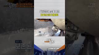 실시간으로 소멸 중인 지구의 과거 데이터 #shorts