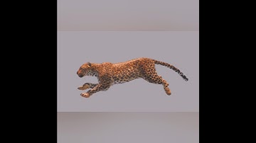 Leopard Run Cycle #leopard #runcycle #blender #blenderanimation #shorts #animals #trending #yt #3d