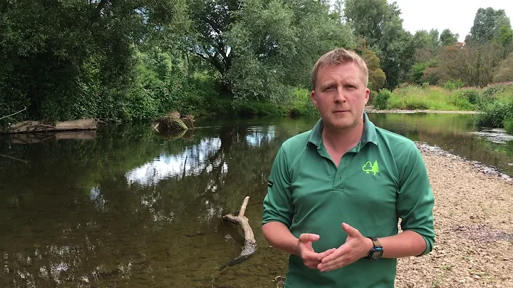 Benefits of trees: climate change, natural flood management and more