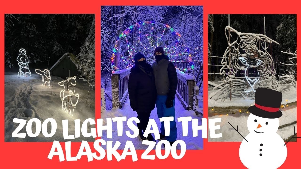 Checking out Zoo Lights at the Alaska Zoo - Winter Holiday Fun! December 2020