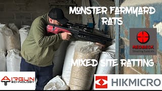 Monster farm yard rats!! Gonna need a bigger gun!!
