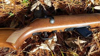 Savage Mkii G .22Lr Bolt-Action Rifle With Accutrigger Best Budget Bolt-Action 22 Review