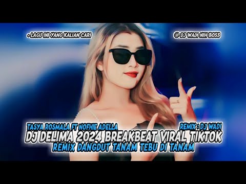 Cantika Davinca \u0026 Putra Angkasa ft Ageng Music - Delima (Official Live Music)
