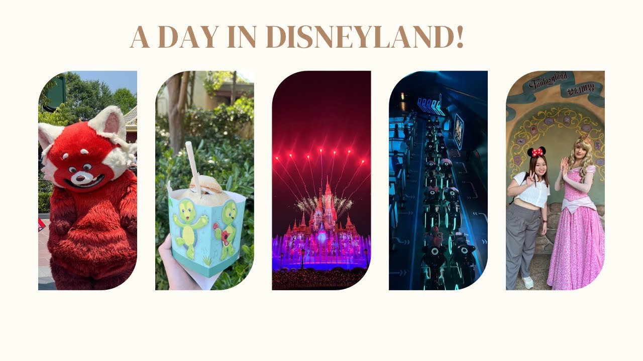 I paid S$313.98 for Shanghai Disneyland 8 Premier Access + 299 yuan for firework premier access!