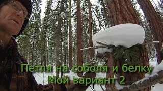 Петля на соболя и белку Мой вариант 2