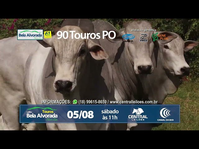 Convite Flávio Aranha