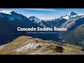 Beginning of video